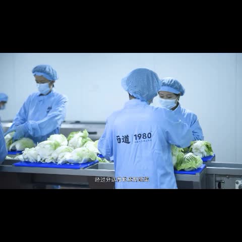 赣云商用全自动化净菜加工生产设备全套蔬菜肉类精加工机器