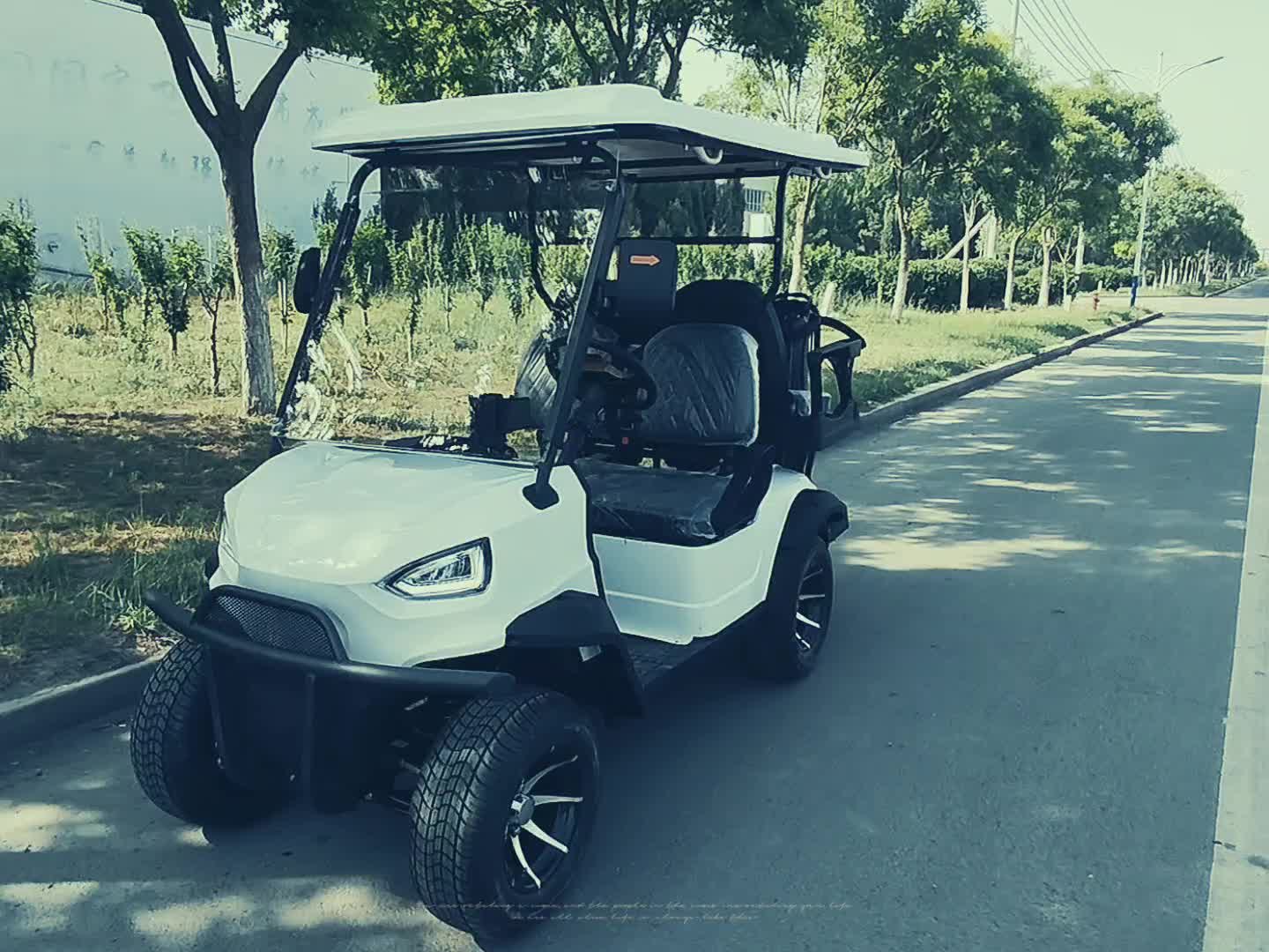 欧力朗电动高尔夫球车定制版