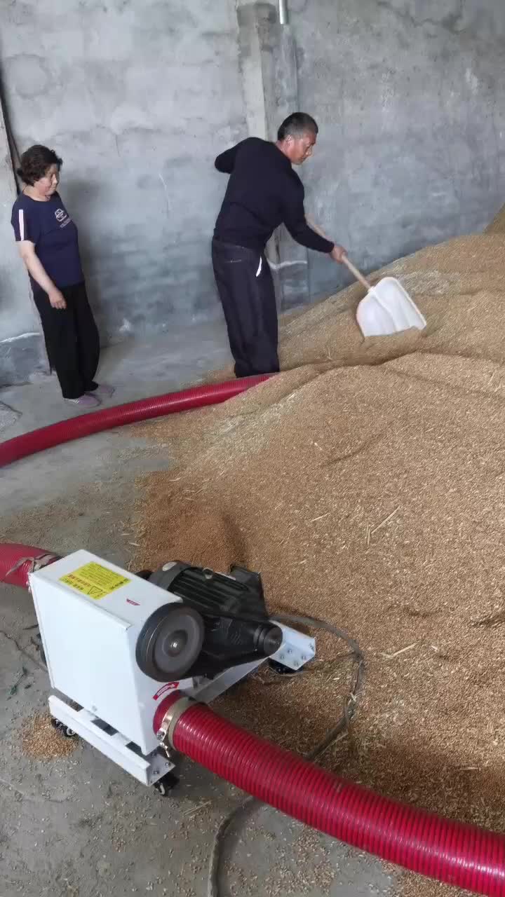 小麦装车用软管吸粮机客户使用现场视频