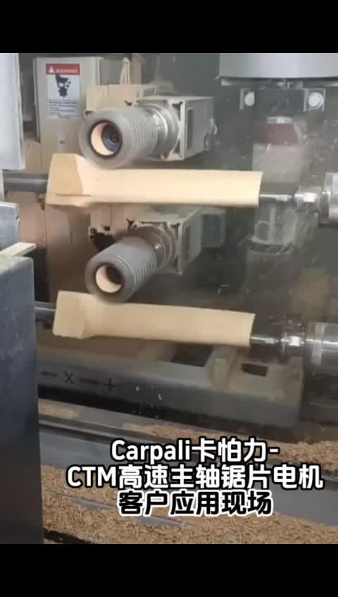 CARPALI卡帕力-CTM主轴锯片电机-木工机械应用现场