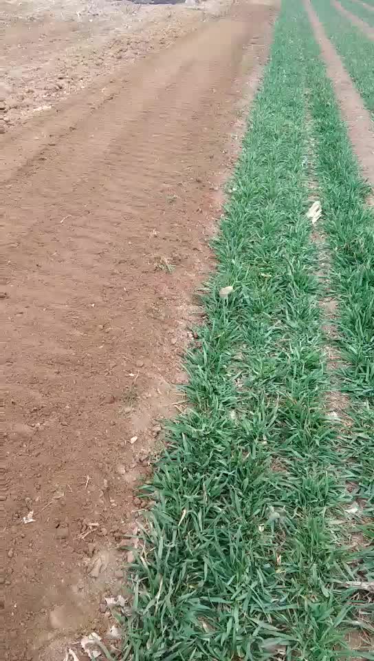 9耕 爬坡履带式旋耕机视频 果园开沟施肥一体机 多功能微耕机