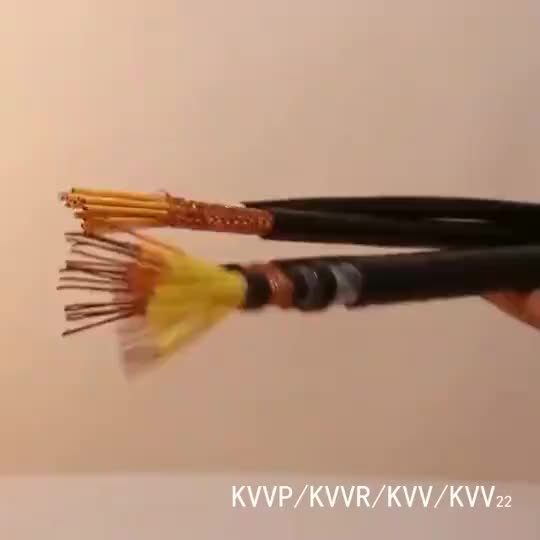 RVVP22铠装屏蔽电源线电缆