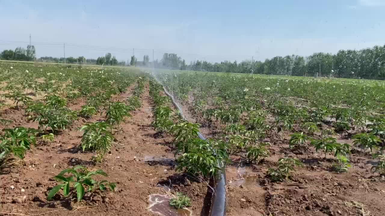 N65微喷带 抗老化*** 农业灌溉滴灌带 节水灌溉喷灌带